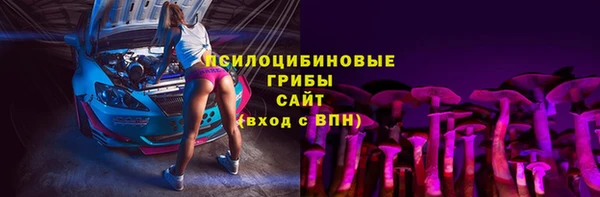 ПСИЛОЦИБИНОВЫЕ ГРИБЫ Вяземский